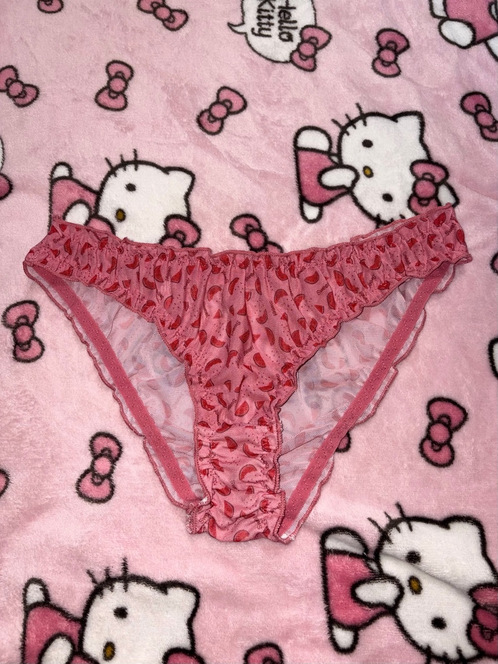 Mesh Bikini Cut Panties
